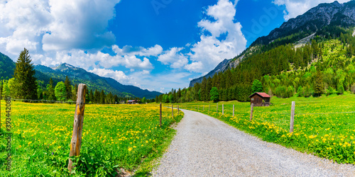 Countryside road stretching along alpine meadows in Stillachtal