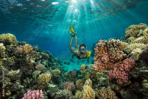 Egypt, Red Sea, Hurghada, teenage girl snorkeling at coral reef photo