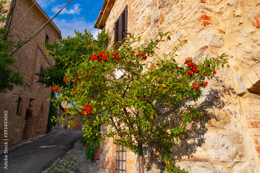 Fototapeta premium Ancient village in Tuscany, Italy