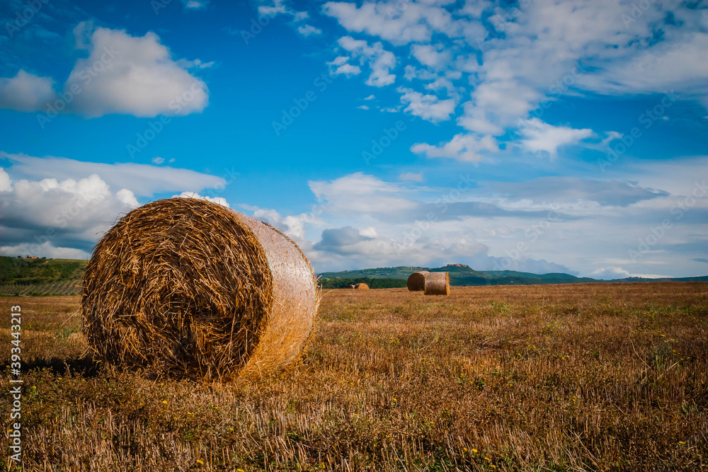 Bales of straw at a Tuscany field, Italy