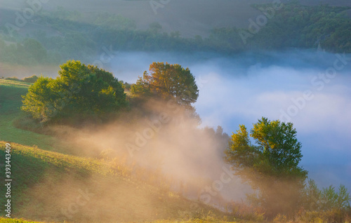 Tuscan landscape on a foggy morning, Italy