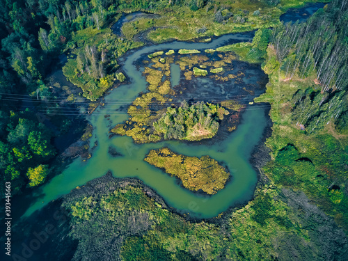 Aerial view of river and green landscape