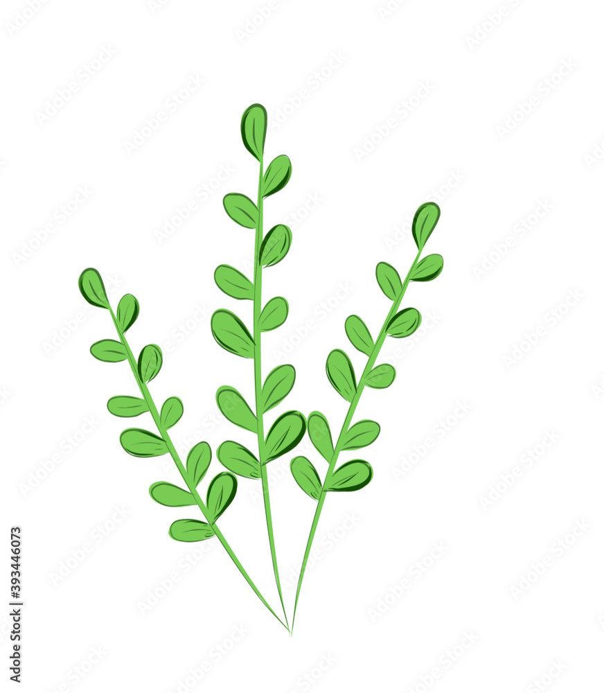 зеленые ветви цветка