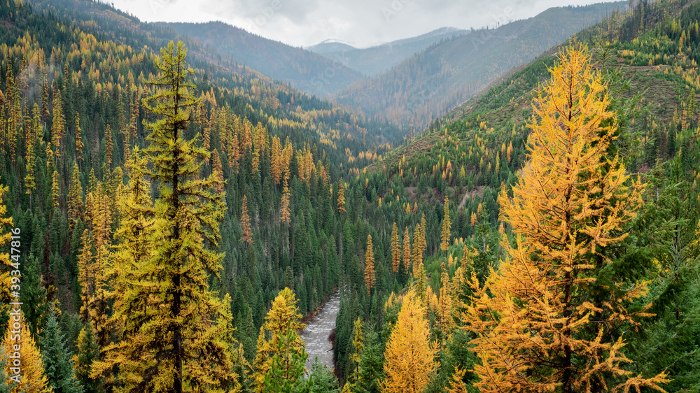 Idaho Valley in Fall