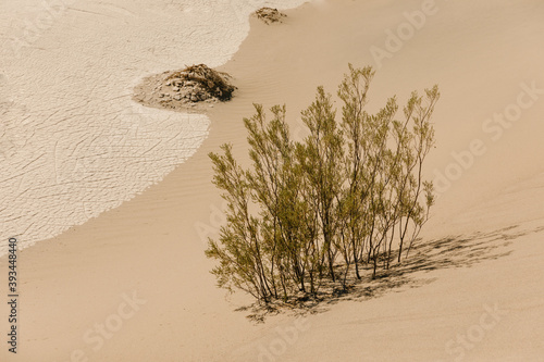 sand with dried clay and plants in the desert