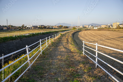 Small path between rice fields in a small village, Japan