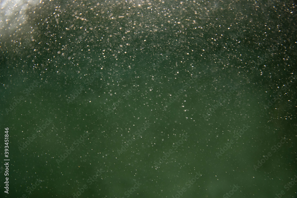 Green Water and Bubbles Abstract Green Water and Bubbles Abstract