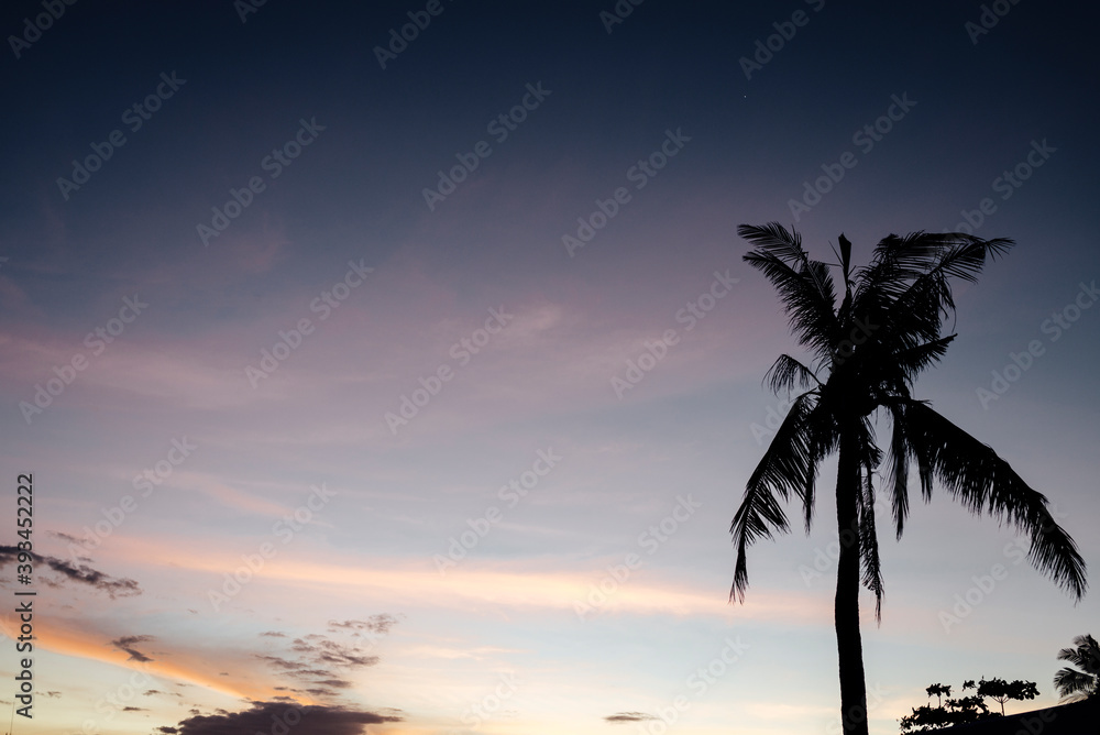 Silhouette of palm tree leaves at sunset Silhouette of palm tree leaves at sunset