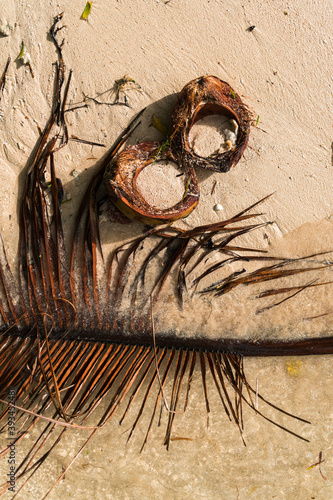 Dried coconut shells and palm tree branch on the sand of a beach photo