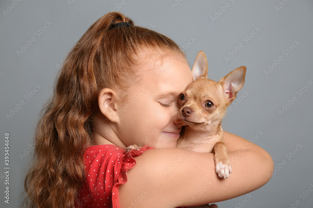 Little girl with her Chihuahua dog on grey background. Childhood pet Little girl with her Chihuahua dog on grey background. Childhood pet