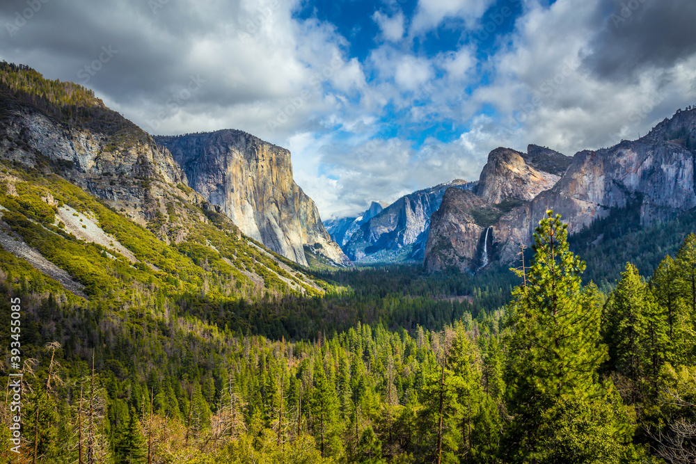 View of the Yosemite Valley in Yosemite National Park