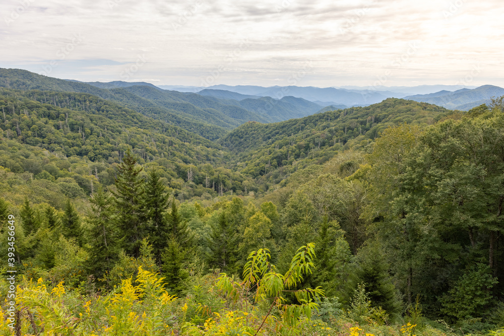 Viewpoint from Smoky Mountain National Park