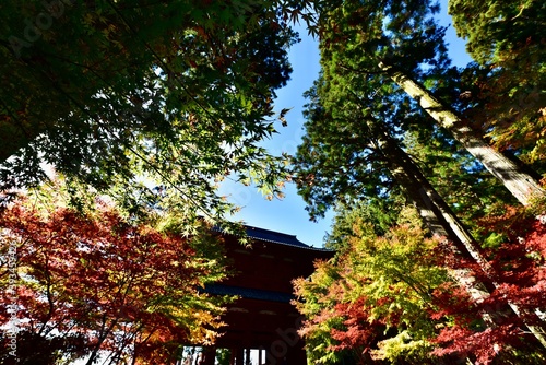 日本の和歌山の寺の紅葉, 高野山