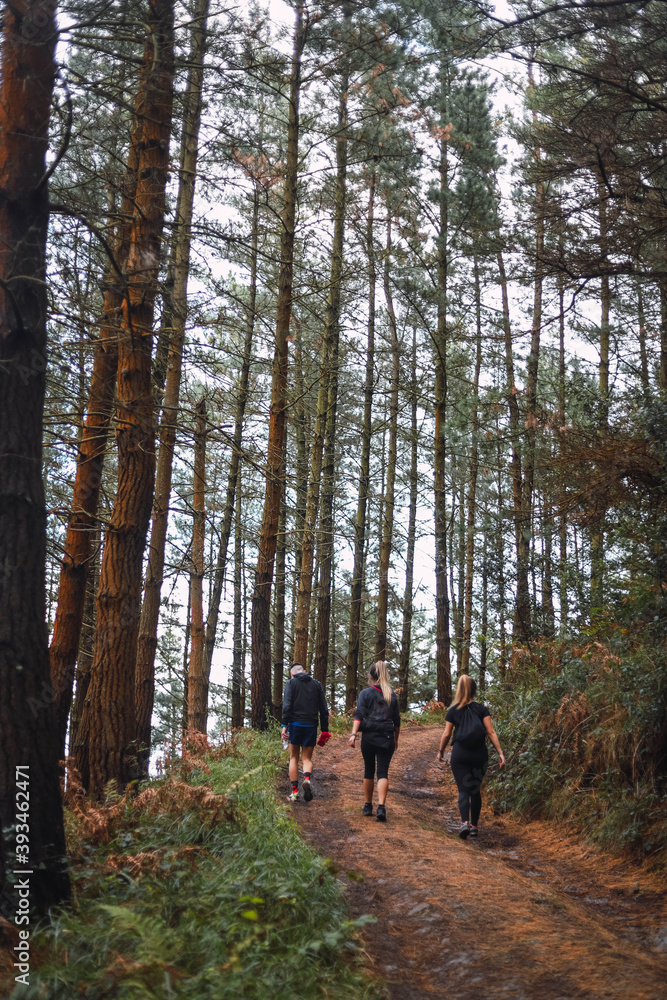 A group of friendshiking in the woods A group of friendshiking in the woods