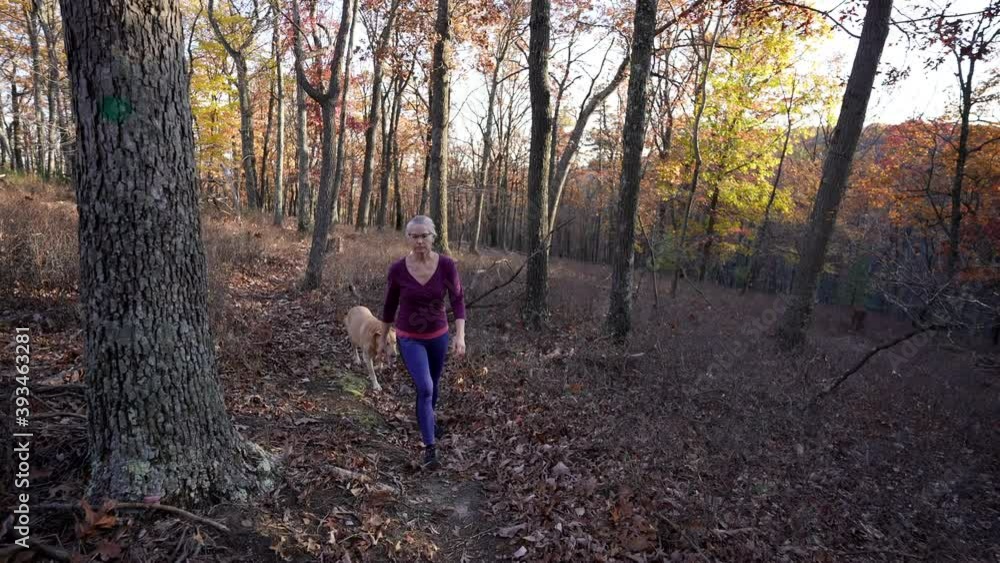Front view of woman hiker walking with her dog in the fall forest on a sunny autumn day, slow-motion 4K video. Front view of woman hiker walking with her dog in the fall forest on a sunny autumn day, slow-motion 4K video.
