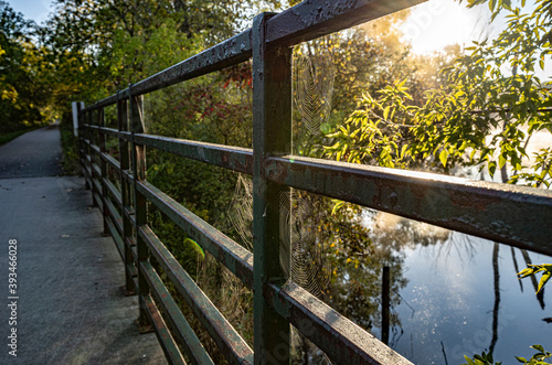 Spider web on the bridge