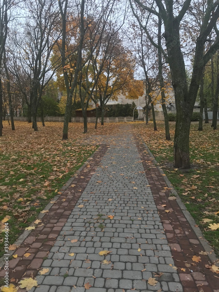 Naklejka premium path in autumn park