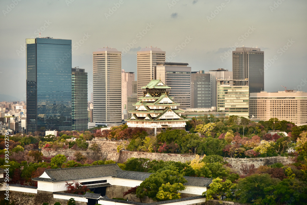Fototapeta premium 日本の大阪城の紅葉