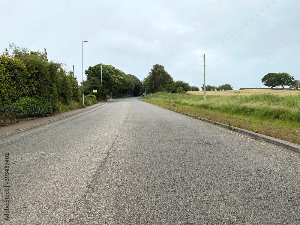 View along, Birkby Lane, with trees, and fields, on a cloudy day in, Bailiff Bridge, Brighouse, UK View along, Birkby Lane, with trees, and fields, on a cloudy day in, Bailiff Bridge, Brighouse, UK