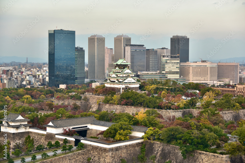 Fototapeta premium 日本の大阪城の紅葉