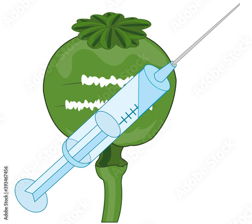 Head opium poppy and syringe with drug