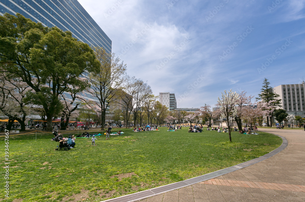 Fototapeta premium 中野四季の森公園、中野セントラルパーク（東京都中野区）