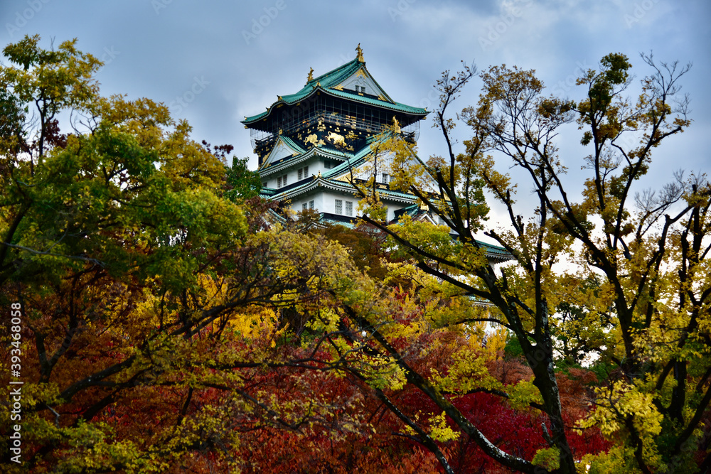 Fototapeta premium 日本の大阪城の紅葉