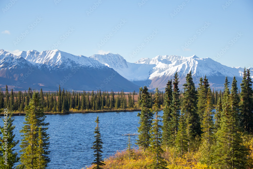 Denali National Park, AK / USA - Sept. 10, 2012: A landscape of the Alaskan wilderness.