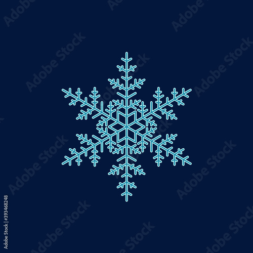 Beautiful single winter snowflake structure
