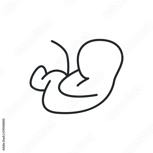 embryo baby icon vector illustration