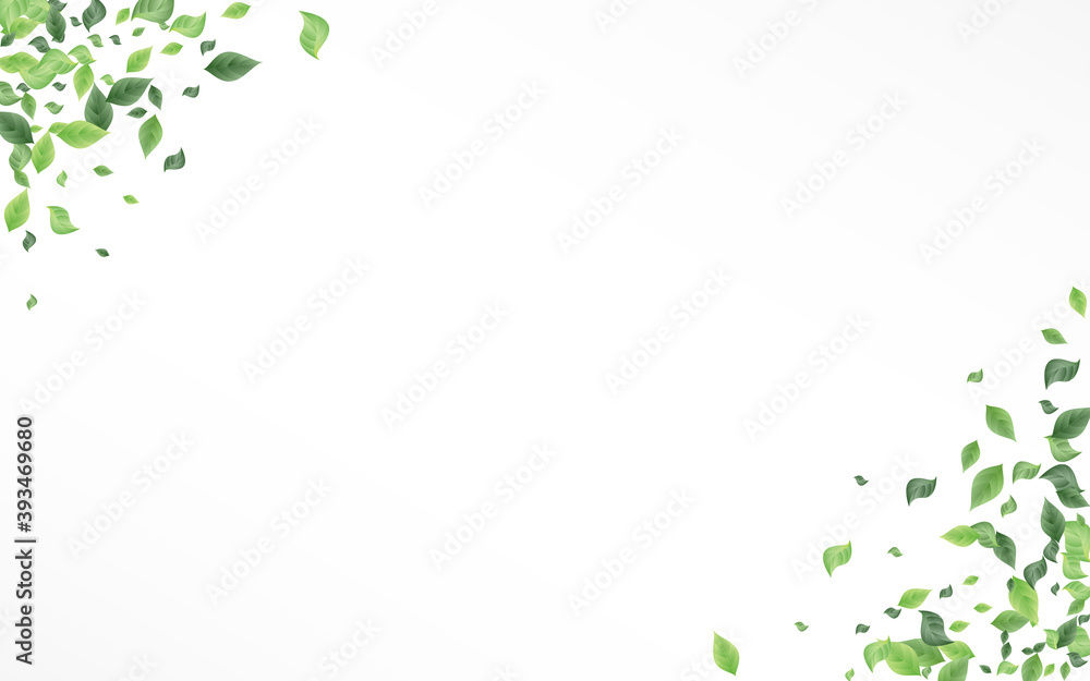 Grassy Leaves Falling Vector White Background Grassy Leaves Falling Vector White Background