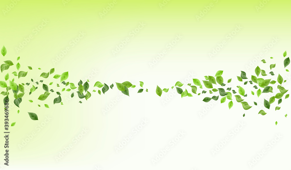 Grassy Greenery Spring Vector Green Background Grassy Greenery Spring Vector Green Background