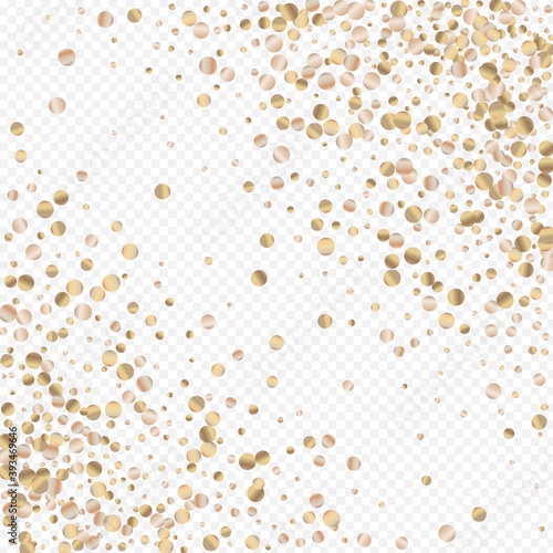 Golden Circle Vector Transparent Background. 