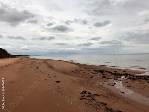 beach and sea