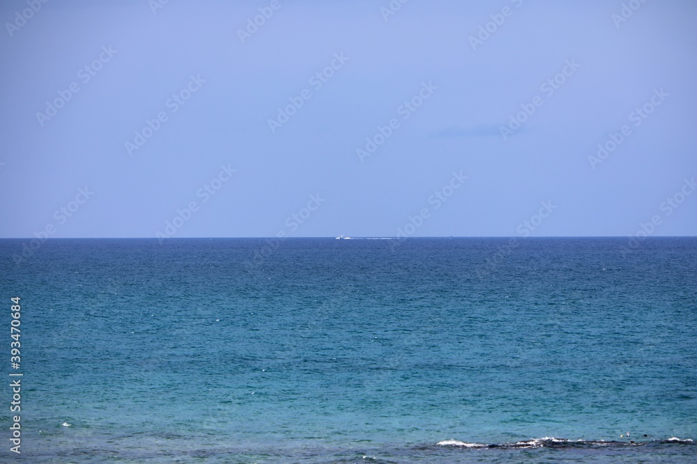 Obraz premium Sea Life