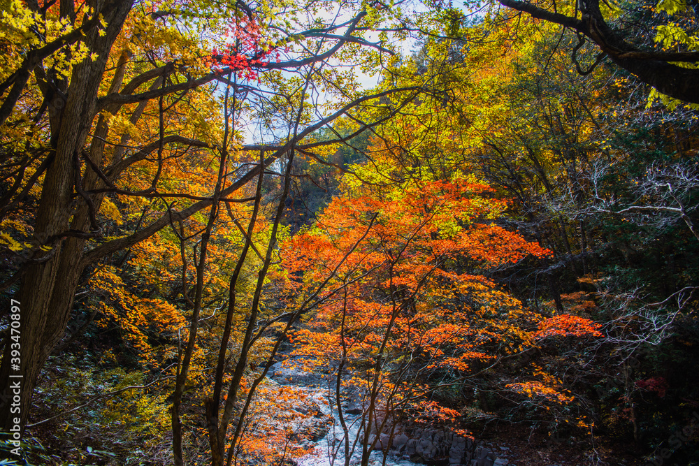 秋の裏磐梯の五色沼