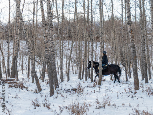 black horse and rider in winter woods