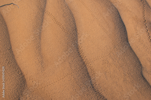 Beetle and scorpion tracks in sand at Alvord Desert, Southeastern Oregon.