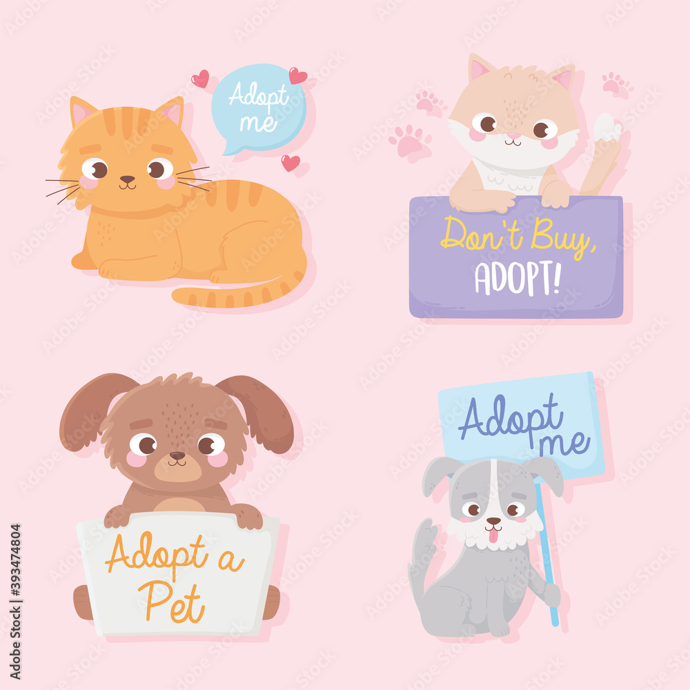 adopt a pet, cute little dogs and cats animals with lettering