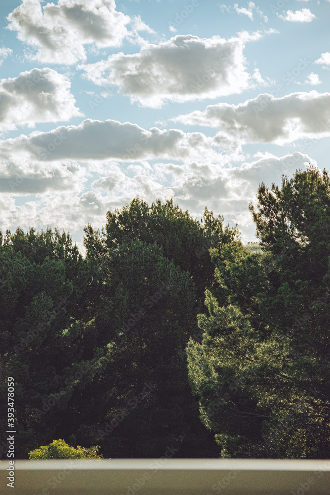 Obraz premium cloudy sunny sky with trees in bottom half 