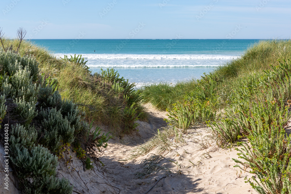 A natural access path between sand dunes on to the beach at Beachport South Australia on November 9th 2020