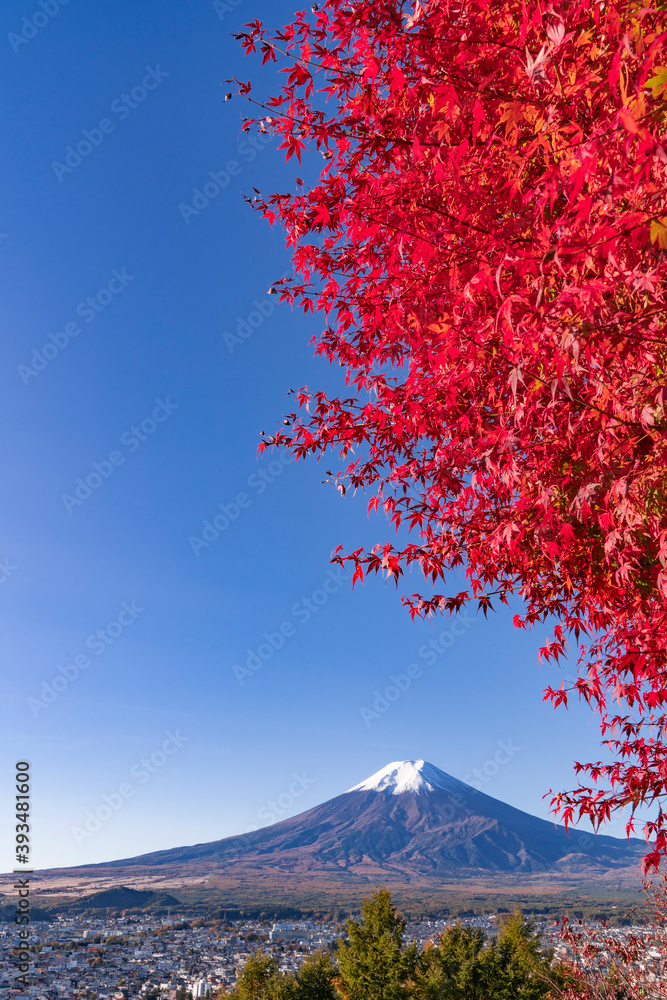 紅葉の美しい秋の富士山