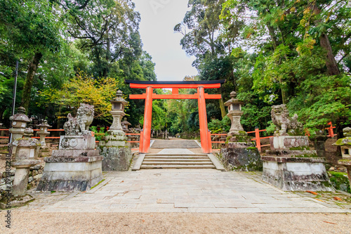 春日大社 奈良公園 奈良県奈良市 Kasuga-taisya Nara-ken Nara city