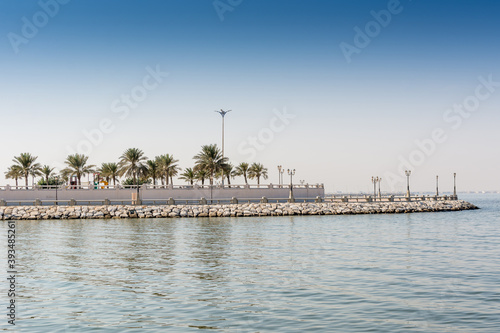 Blue sea and green date palm trees in the corniche park in Dammam  Saudi Arabia