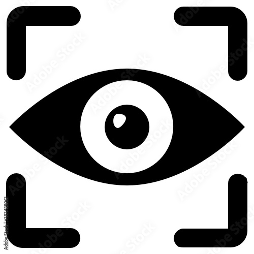 
Iris recognition icon in flat design, biometric identification concept 
