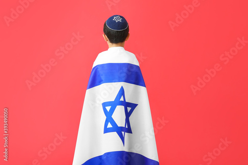 Little boy with the flag of...