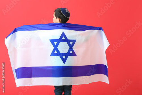 Little boy with the flag of...