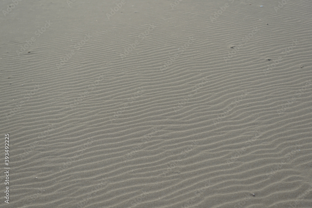 Obraz premium 砂浜の模様 風紋