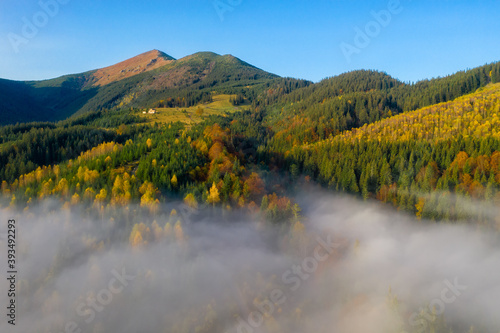 Colorful autumn morning in the Carpathian mountains. Sokilsky ridge, Ukraine, Europe..