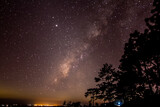 milky way in night sky over forest mountain